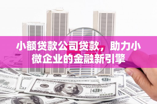 攀枝花小额贷款公司贷款，助力小微企业的金融新引擎