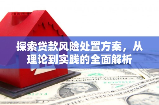 攀枝花探索贷款风险处置方案，从理论到实践的全面解析