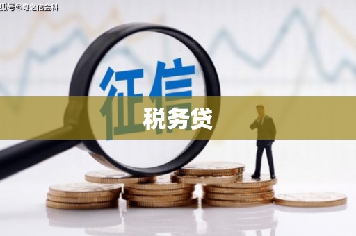 攀枝花税务贷