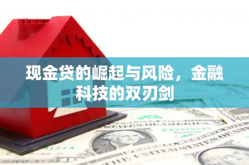 攀枝花现金贷的崛起与风险，金融科技的双刃剑