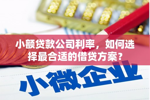 攀枝花小额贷款公司利率，如何选择最合适的借贷方案？