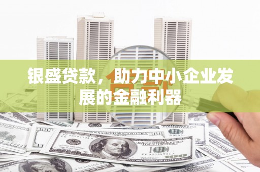 攀枝花银盛贷款，助力中小企业发展的金融利器