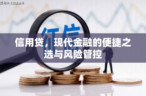 攀枝花信用贷，现代金融的便捷之选与风险管控