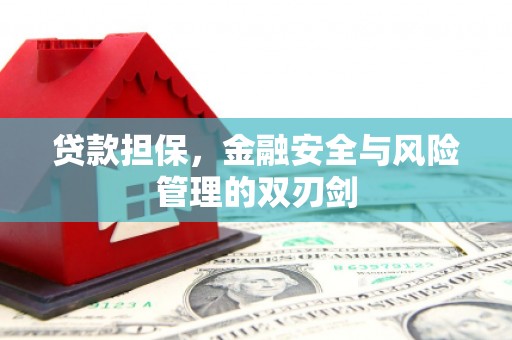 攀枝花贷款担保，金融安全与风险管理的双刃剑