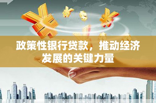 攀枝花政策性银行贷款，推动经济发展的关键力量