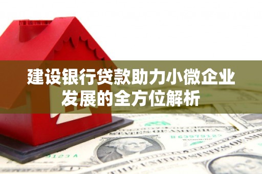 攀枝花建设银行贷款助力小微企业发展的全方位解析