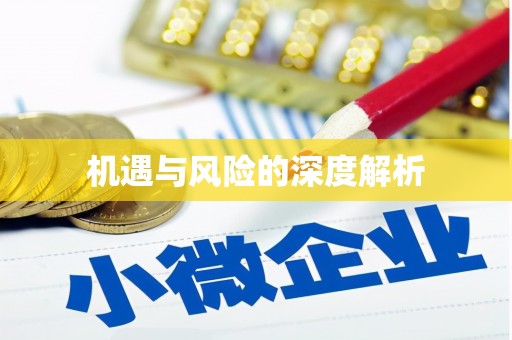 攀枝花机遇与风险的深度解析