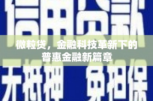 攀枝花微粒贷，金融科技革新下的普惠金融新篇章