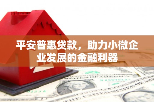攀枝花平安普惠贷款，助力小微企业发展的金融利器