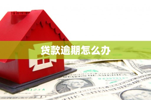 攀枝花贷款逾期怎么办