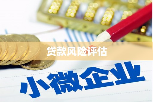 攀枝花贷款风险评估