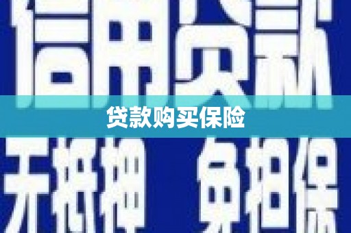 攀枝花贷款购买保险