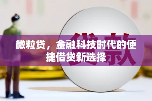 攀枝花微粒贷，金融科技时代的便捷借贷新选择