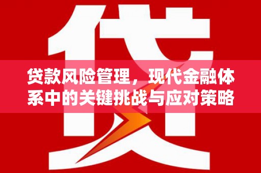 攀枝花贷款风险管理，现代金融体系中的关键挑战与应对策略