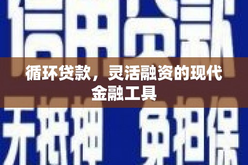 攀枝花循环贷款，灵活融资的现代金融工具