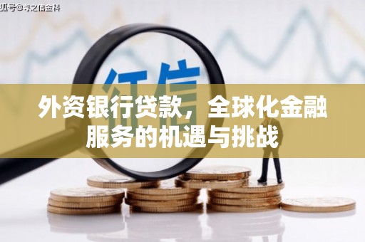 攀枝花外资银行贷款，全球化金融服务的机遇与挑战