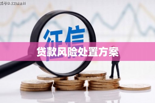 攀枝花贷款风险处置方案