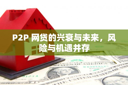 攀枝花P2P 网贷的兴衰与未来，风险与机遇并存