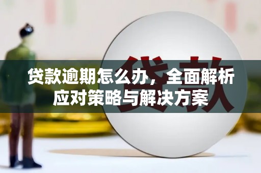 攀枝花贷款逾期怎么办，全面解析应对策略与解决方案