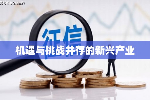 攀枝花机遇与挑战并存的新兴产业