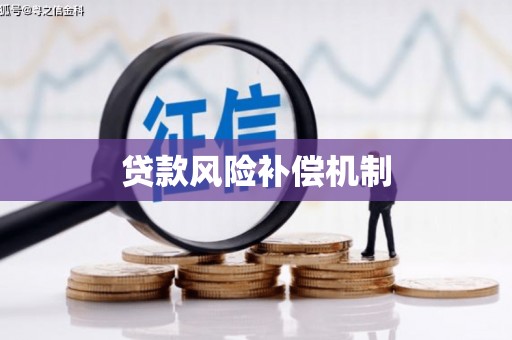 攀枝花贷款风险补偿机制