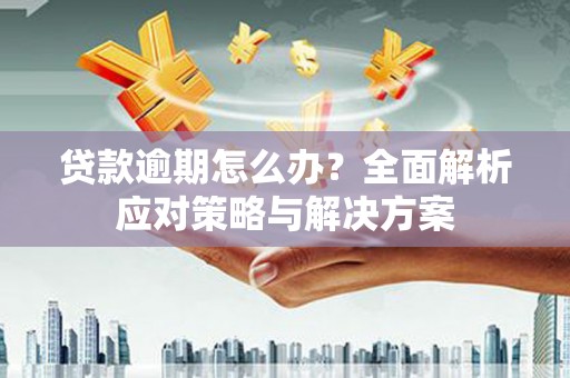 攀枝花贷款逾期怎么办？全面解析应对策略与解决方案