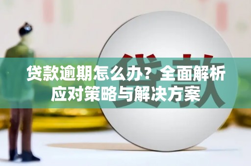攀枝花贷款逾期怎么办？全面解析应对策略与解决方案